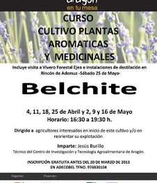 Curso de cultivo plantas  aromaticas y medicinales (del 4 de abril al 16 de mayo)