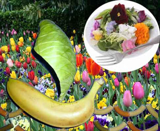 Sabores de primavera en el mundo (miércoles, 22 de mayo)