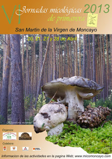 Jornadas Micológicas del Moncayo (27 y 28 abril)