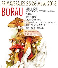 IV Jornadas de micología de primavera de Borau (días 25 y 26)