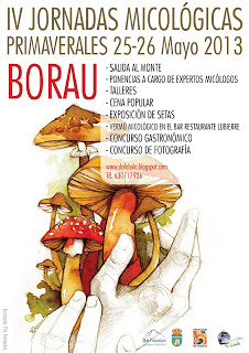 IV Jornadas de micología de primavera de Borau (días 25 y 26)