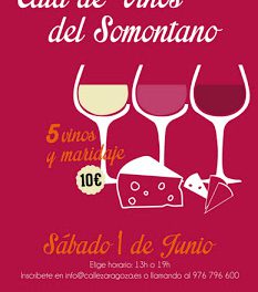 Cata y tapas de vinos DOP Somontano (sábado, 1)