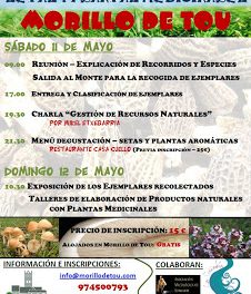 Jornadas de primavera Setas y plantas medicinales (11 y 12 de mayo)