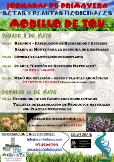 Jornadas de primavera Setas y plantas medicinales (11 y 12 de mayo)