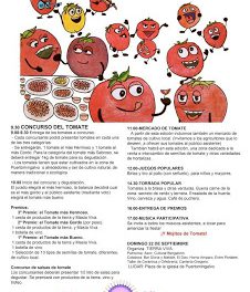 Fiesta del tomate (domingo, 22)