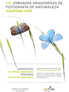 VIII JORNADAS DE FOTOGRAFÍA DE NATURALEZA ASAFONA (del 16 al 21 de septiembre)