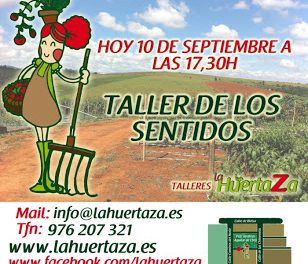 Taller infantil de los sentidos (martes, 10)