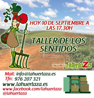 Taller infantil de los sentidos (martes, 10)