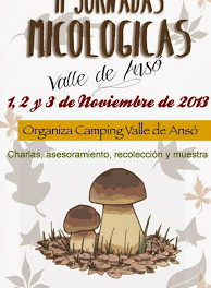 II Jornadas micológicas Valle de Ansó (del 1 al 3 de noviembre)