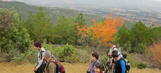 XVI Jornadas de Otoño (del 1 al 2 de noviembre)