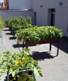 Talleres Un huerto en tu terraza (sábados, 16 y 23 de noviembre)