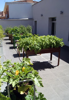 Talleres Un huerto en tu terraza (sábados, 16 y 23 de noviembre)