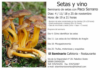 Setas y vino (lunes de noviembre)