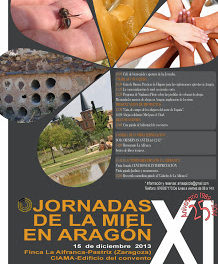 Jornadas de la miel en Aragón (domingo, 15)