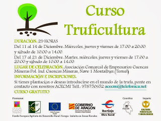 Curso de truficultura (del 11 al 14 o del 17 al 21)