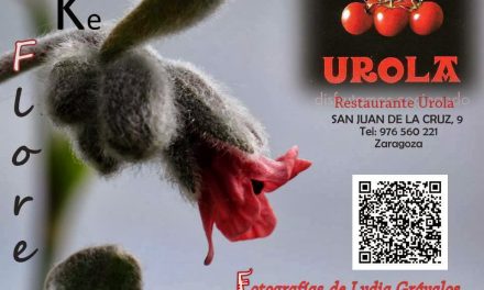 Exposición en Urola (hasta el 31 de enero)