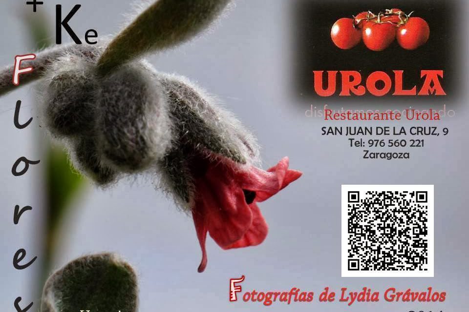 Exposición en Urola (hasta el 31 de enero)