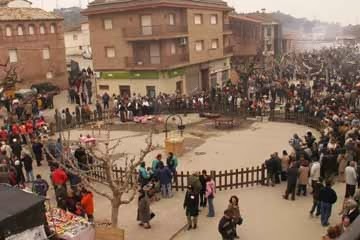 Festa del tossino (domingo, 26)