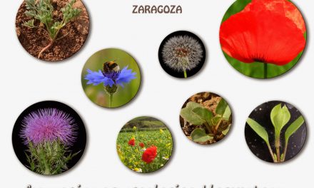Curso sobre flora arvense (28 de febrero y 1 de marzo)