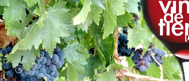 Cata de vinos de la tierra de Aragón (del 25 a 27 de febrero)