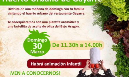 Visita al huerto urbano de Gayarre (domingo, 30)