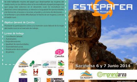 Esteparea 2014 (6-7 junio)