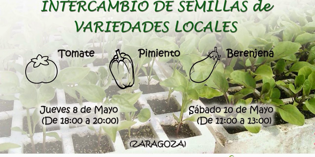 Venta de plantero ecológico e intercambio de semillas (8 y 10 de mayo)