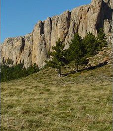 Jornadas micológicas en el Parque Natural del Moncayo (sábado 17)