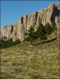 Jornadas micológicas en el Parque Natural del Moncayo (sábado 17)