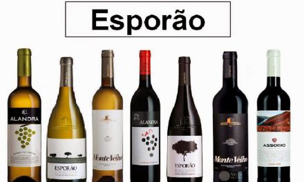 Cata de vinos portugueses (viernes, 13)