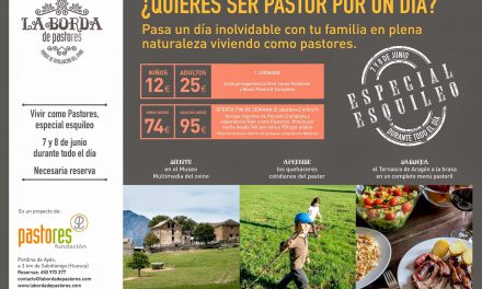 ¿Quieres ser pastor por un día? (sábado 7 y domingo 8)