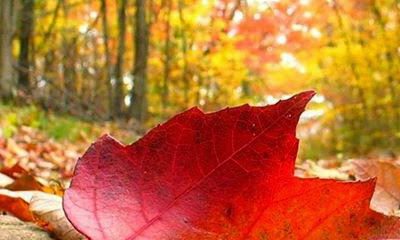 Otoño