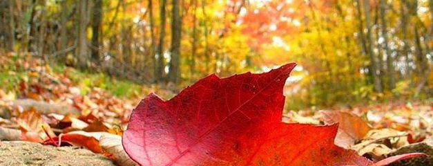 Otoño