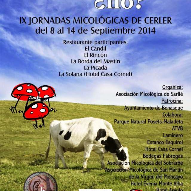 IX Jornadas micológicas de Cerler (del 8 al 14 de septiembre)