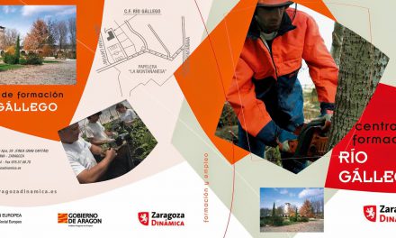 Abierto del plazo de inscripción para los cursos de Formación para el Empleo 2014/15 de Zaragoza Dinámica