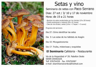 Setas y vino (lunes, 3, 10 y 17 de noviembre)