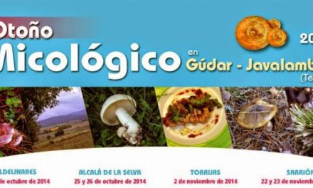 Otoño micológico (domingo, 2 de noviembre)