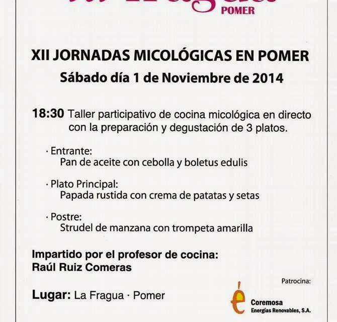 Jornada micológica (sábado, 1)