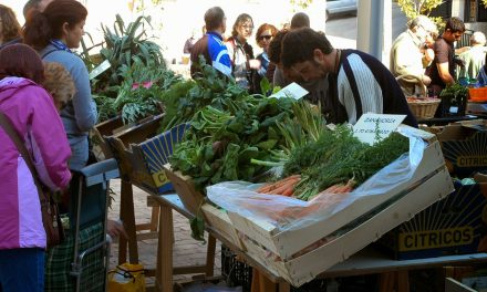 Jornada, Sembrando soberanía alimentaria en Zaragoza (jueves, 30)