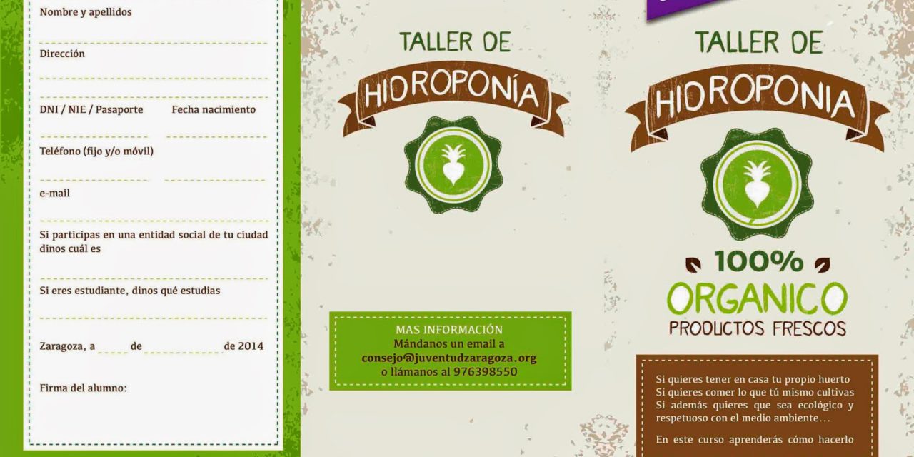 Taller de hidroponía (del 27 de octubre al 12 de noviembre)