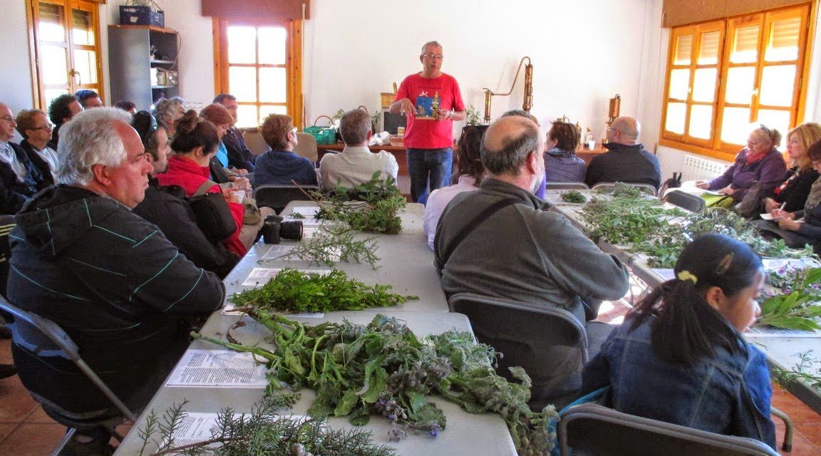 Ruta del madroño y de las plantas medicinales (sábado, 8)