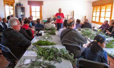 Ruta del madroño y de las plantas medicinales (sábado, 8)