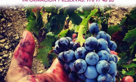 Cata de vino y degustación (viernes, 7)