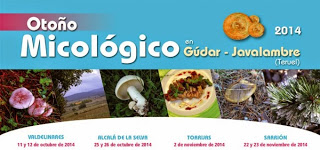 Otoño micológico (días 22 y 23 de noviembre)