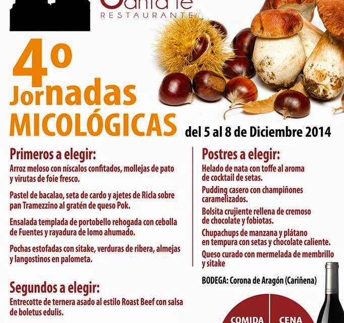 Jornadas micológicas(del 5 al 8 de diciembre)