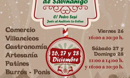 Mercado navideño (del 26 al 28)