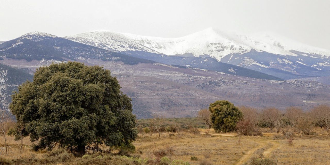 Excursión a la trufa por Urola por 17 euros (domingo, 8 de febrero)