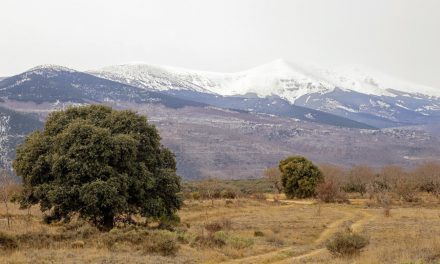 Excursión a la trufa por Urola por 17 euros (domingo, 8 de febrero)