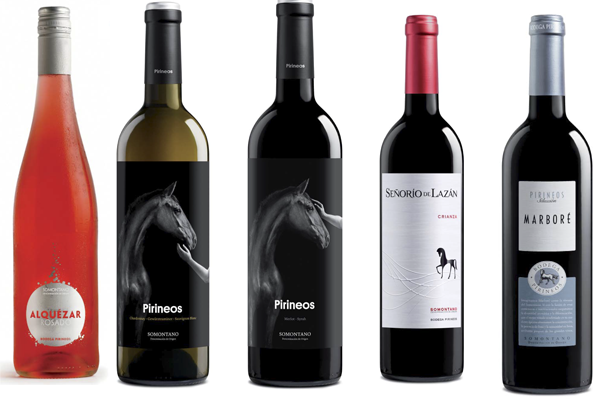 Cata de Bodegas Pirineos (jueves, 5)