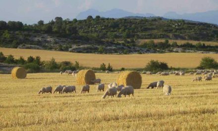 I Jornada de Agricultura y ganadería de montaña (sábado, 24)